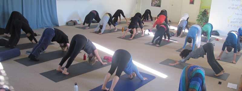 Yoga Class in our lovely big space!