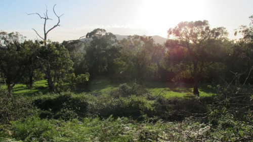 view