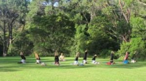 Group Yoga