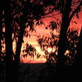 Sunrise at Dungog