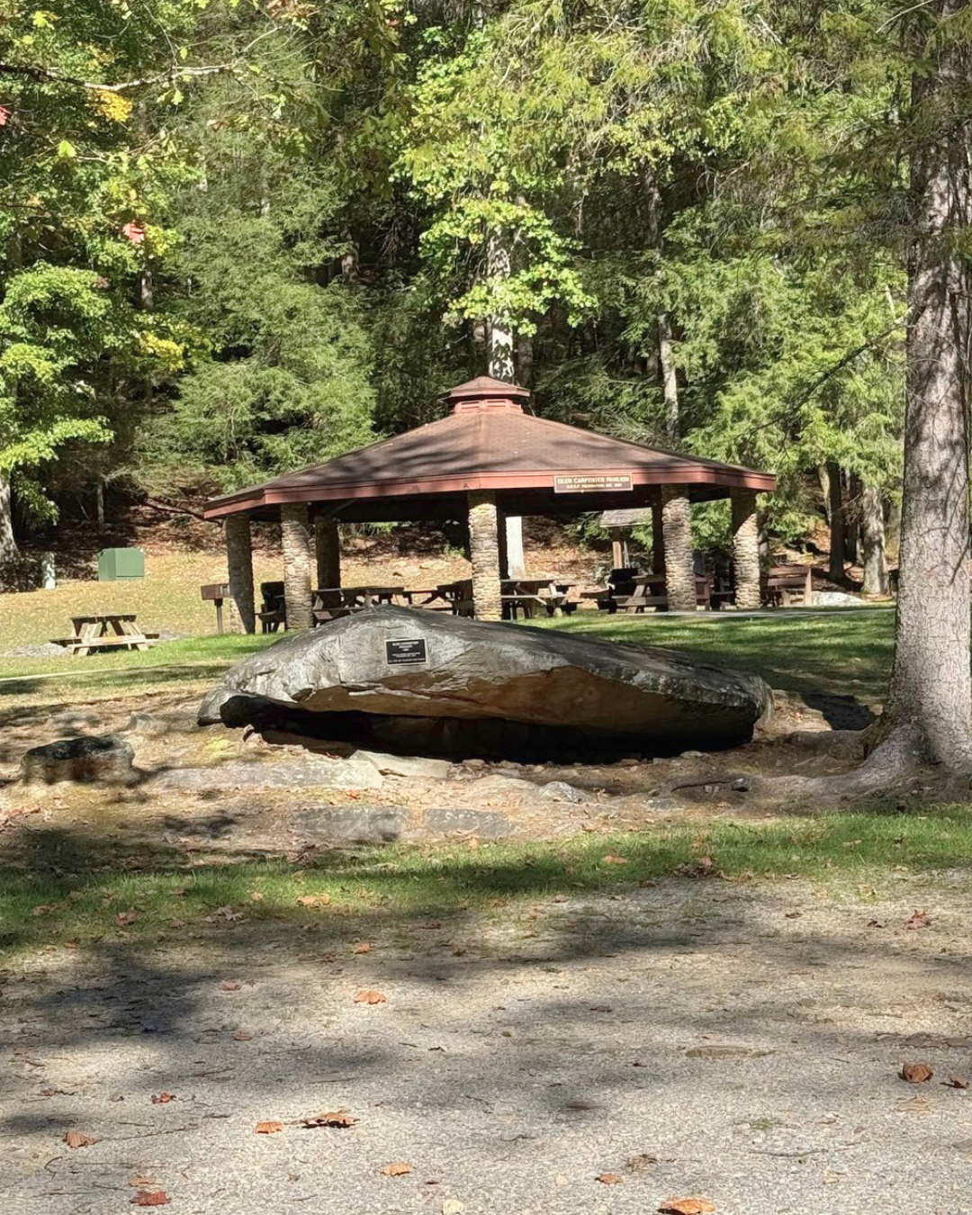 pavilion no text