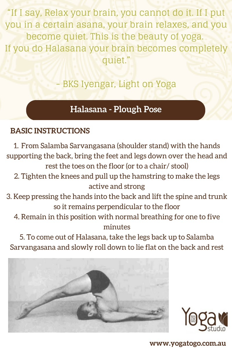 Spotlight on: Halasana