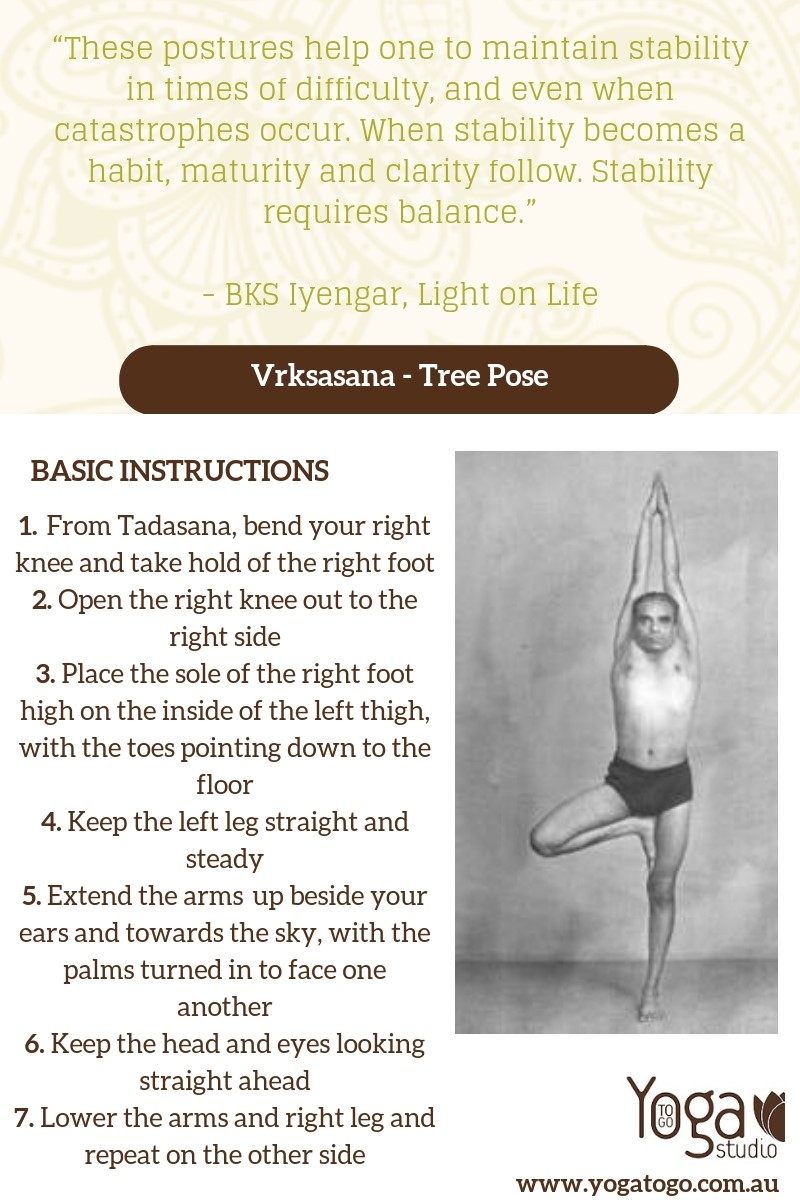 Tree Pose (Vrikshasana) Instructions & Photos • Yoga Basics