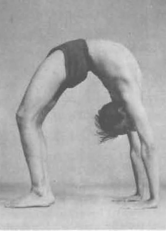 Wygięcia do tyłu: Urdhva Dhanurasana - Lakshmi Yoga