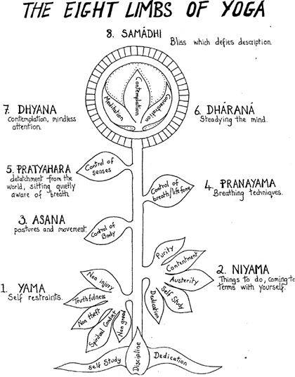 8 limbs_copy
